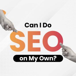 can i do seo on my own