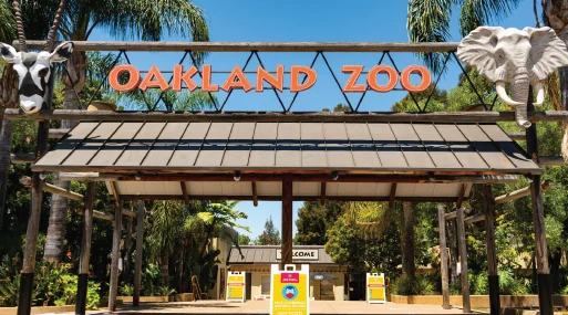 Top PPC Company in Oakland