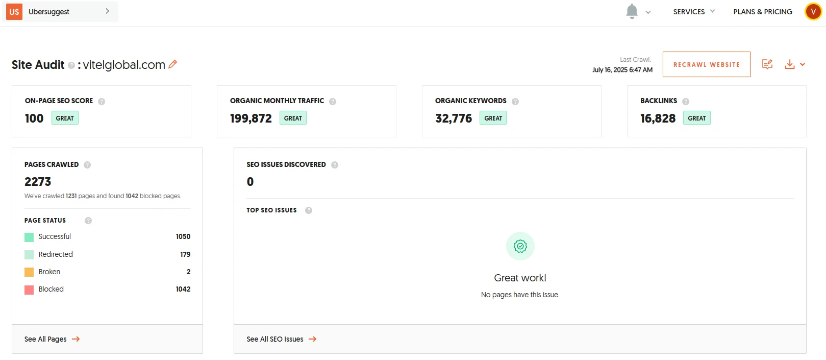 Site AuditResults