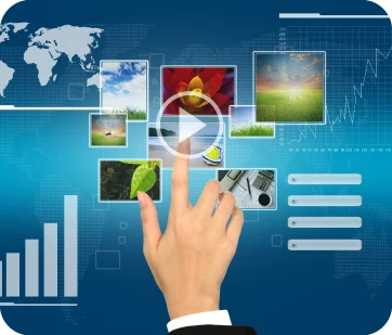 Social Media Infographics & Animations