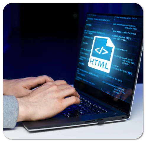 Custom Professional WordPress Website Design