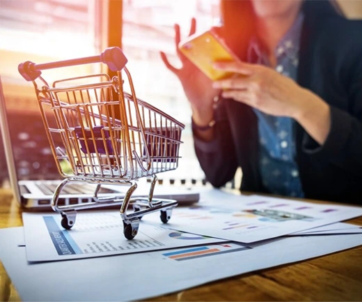 E-commerce SEO
