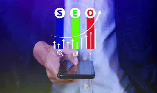 Custom Enterprise SEO Solutions