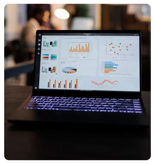 Ongoing SEO Monitoring & Reporting