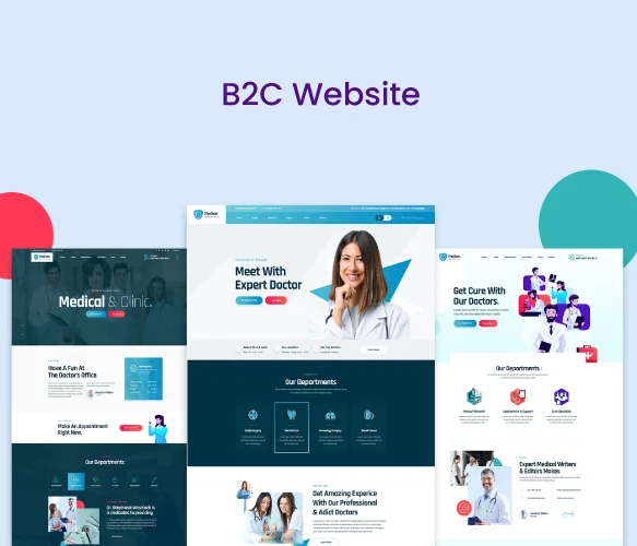 B2C Websites
