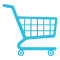 Ecommerce SEO